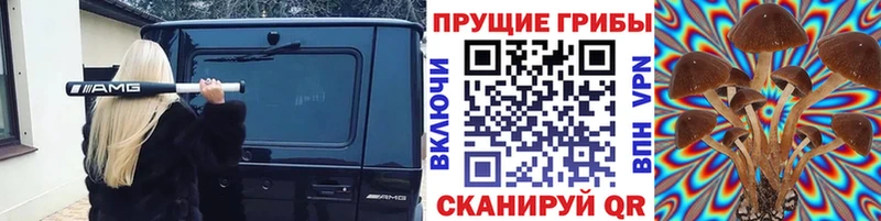 Галлюциногенные грибы ЛСД  Курлово 